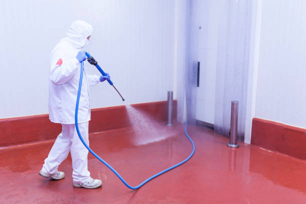 Best Pre-Holiday Cleaning  in Inverness, IL
