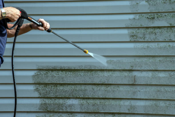 Best House Exterior Washing  in Inverness, IL