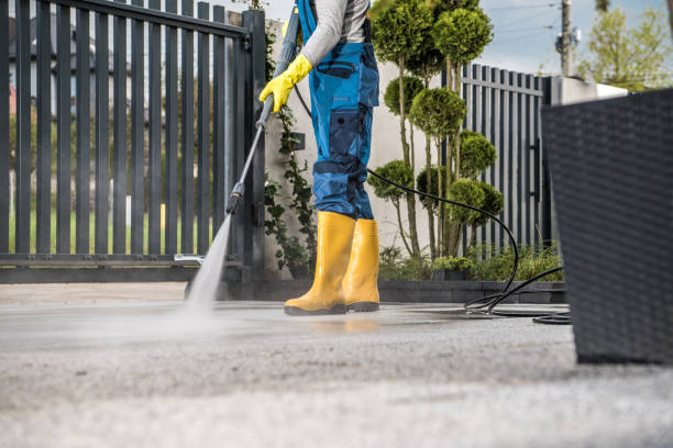 Best Sidewalk and Walkway Cleaning  in Inverness, IL